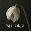 Crimson Vale - Not Okay  artwork