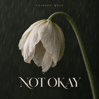 Not Okay - Crimson Vale Cover Art