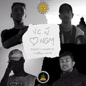 Você Não Ama Ninguém - Single