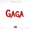 gaga (Radio Edit) - lebron piper lyrics