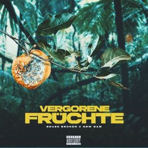 Vergorene Früchte