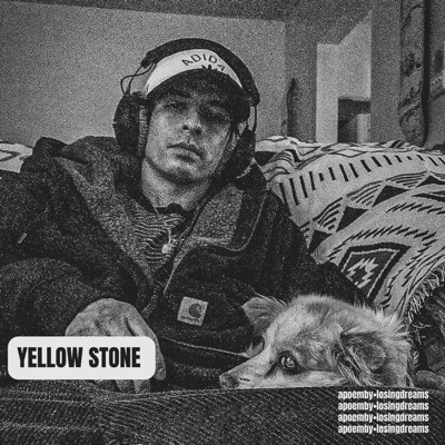 losingdreams - Animal Fries