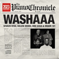 Album cover for Washaaa (feat. Shaun 101) by Sfarzo Rtee, Kelvin Momo & DBN Gogo
