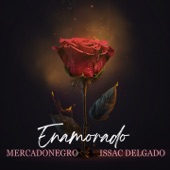 Enamorado artwork