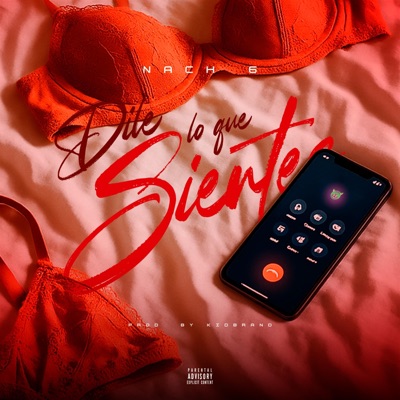 DILE LO QUE SIENTES - Single