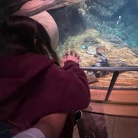 some love songs - Single - Oni Boy