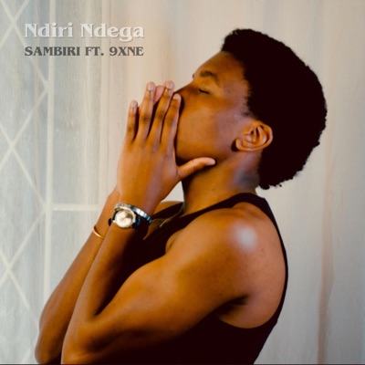 Ndiri Ndega (feat. 9xne) - Single