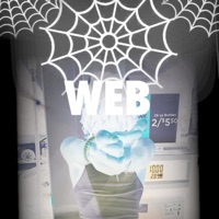 WEB - Single - LongLive Mel