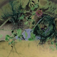 flora - EP - reprieved