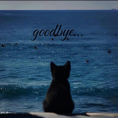 i cant wait for summer and finally be free. - Single