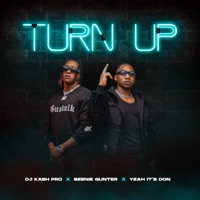 Turn Up - Single - DJ KASH PRO, Beenie Gunter & Yeah its Don