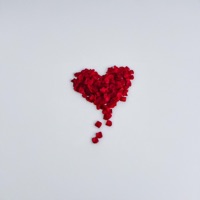 +++LOVE - Single - Lover Boys, Slowb, Saint.Dvr & ACE.