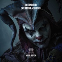 Overton Labyrinth - Single - DJ Tim