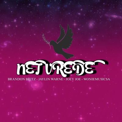 NET VREDE (feat. Woniemusicsa, Jaylin Warne, Joey Joe & Kopfkids Entertainment) - Single