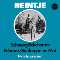 Schneeglocken Im Februar, Goldregen Im Mai - Single - Heintje Simons