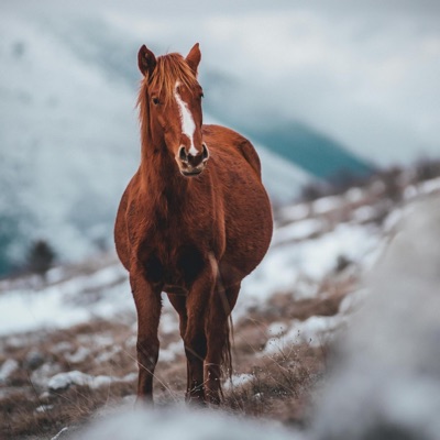 Seb Records - Cold days