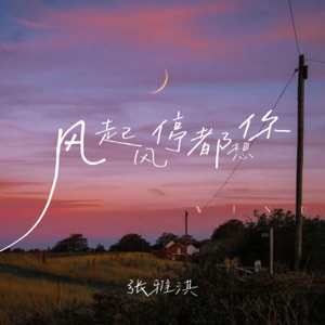 风起风停都想你 - Single