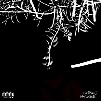 Nothing Magazine, Vol. 2312