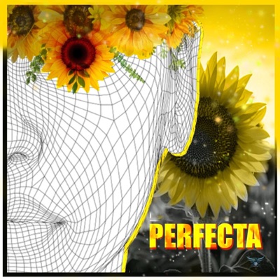 Perfecta - Single