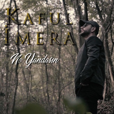 Ne Yandasın (feat. İmera) - Single