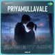 Priyamullavale Ambient Lofi Single
