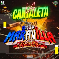 La Cantaleta - Single - Grupo Maravilla De Robin Revilla