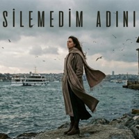 Silemedim Adını (feat. Feray) - Single - Anatolia Echo