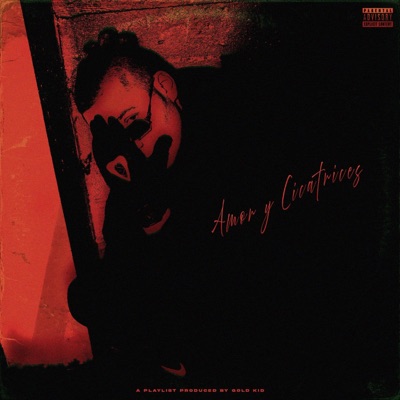 Amor y Cicatrices - EP