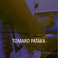 Rabindrasangeet (TOMARO PATAKA) (feat. Durnibar Saha) - Single - TRAVZIC