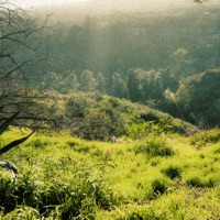 Pointillism (Slow Magic Remix) - Single - Geller