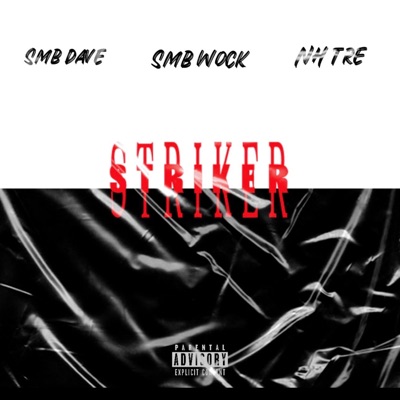 Striker (feat. Smb Wock & NH Tre) - Single