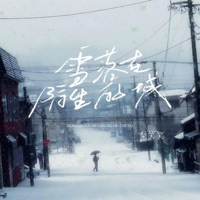 雪落在陌生的城 - Single - 梨笑笑