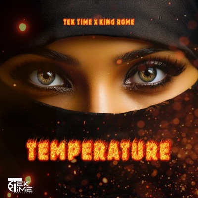Temperature (feat. King Rome) - Single