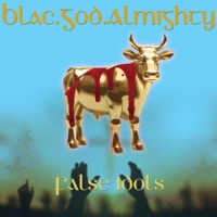 FALSE IDOLS (feat. Fakez) - EP - Blac.God.Almighty