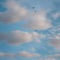 Flying High - Mattski lyrics