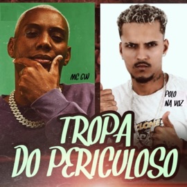 Tropa do Periculoso (feat. MC GW) Polo na voz