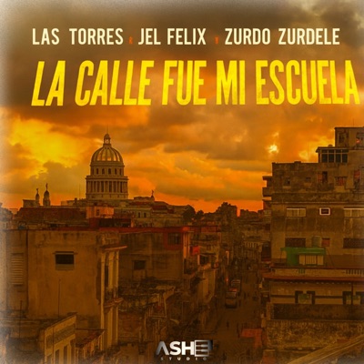 La Calle Fue Mi Escuela (Remix) - Single