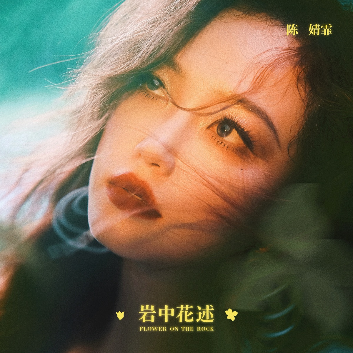 陈婧霏 - 岩中花述 - Single (2025) [iTunes Plus AAC M4A]-新房子