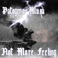 Not More Feeling - Single - Patogeno Musa