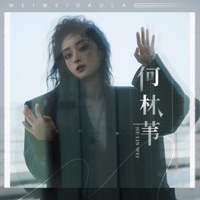 你还是不懂 - Single - 何林苇