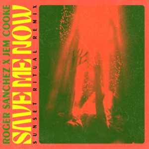 Save Me Now (Sunset Ritual Remix) - Single