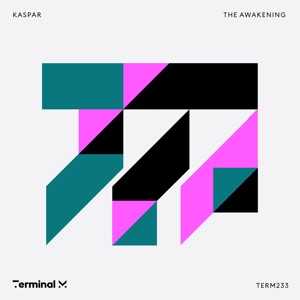 The Awakening - Single