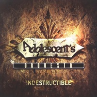 Indestructible - Adolescent's Orquesta