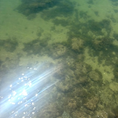 i feel it again - Single