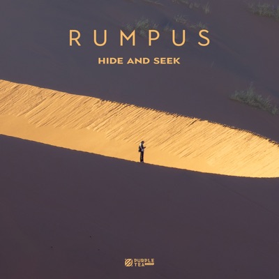 Hide and Seek - Single