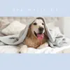 Dog Music DJ - Sleeping Dog Music