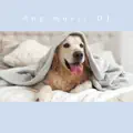 Sleeping Dog Music
