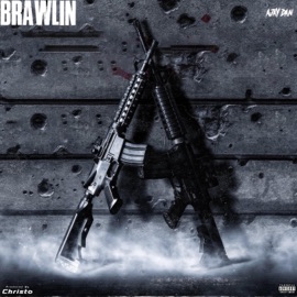 Brawlin (feat. Christo Records) Ajay Dan