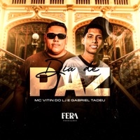 Dia de Paz - Single - Mc Vitin do LJ & Gabriel tadeu