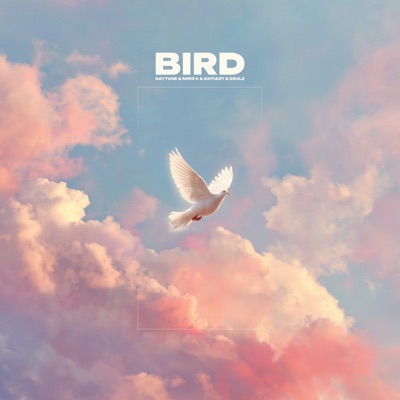 Bird - Single